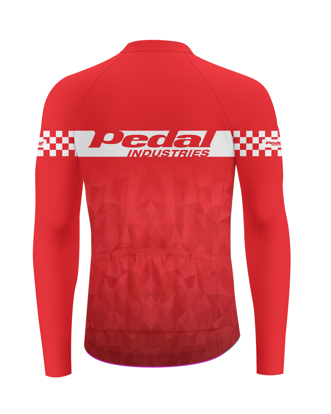 The GC 2024 PRO JERSEY 2.0 Long Sleeve ISD - flat product view, back pdp-last