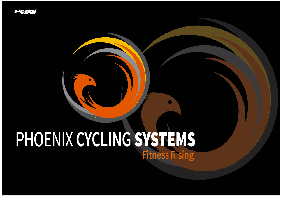 Phoenix Cycling Systems Back Wall