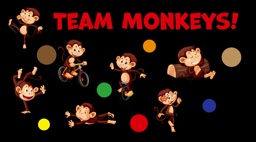 Team Monkeys RACEDAY BAG™